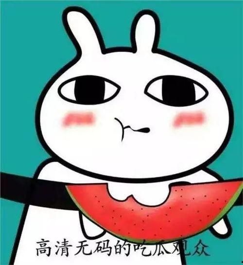 吃瓜表情包高清,吃瓜表情包高清来袭，笑料横生！